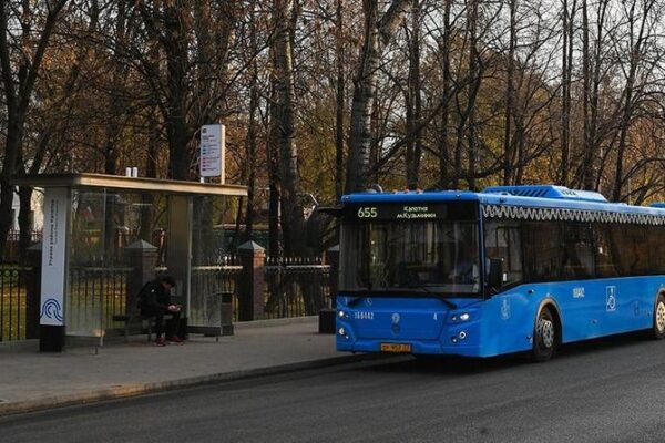 «Толку от ваших новых автобусов»: петербуржцы отругали Смольный за долгое ожидание общественного транспорта