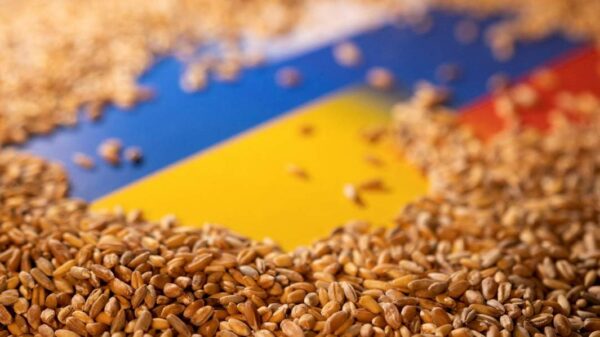 Прогноз урожая зерновых в Украине снижен до 64,4 млн тонн