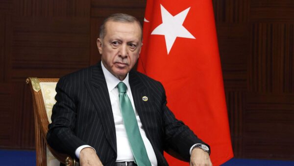 Эрдоган не хочет платить Маску за «синюю галочку» и планирует «договориться» с миллиардером