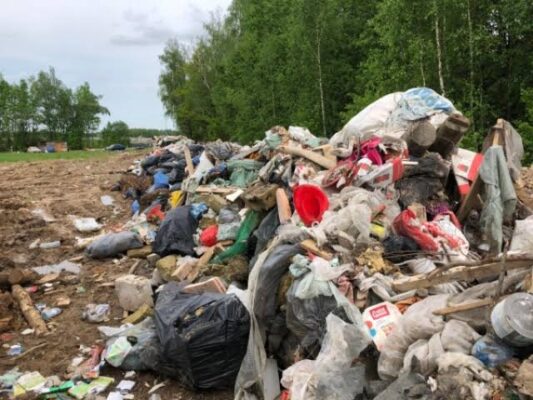 Сначала делают, а потом ликвидируют последствия: эколог указал на причину провала мусорной реформы в Петербурге