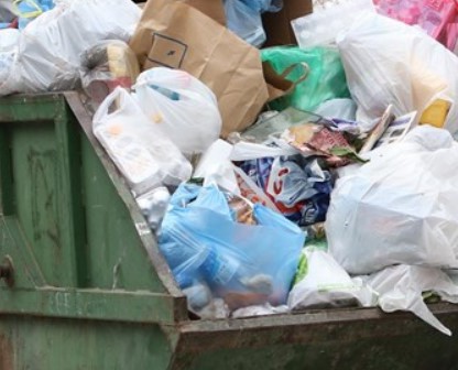 Не хватает баков: блокадница рассказала о недостатках мусорной реформы в Петербурге