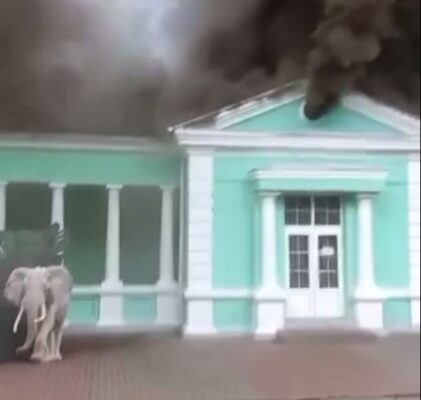 В Ростове большой пожар в местном зоопарке. Сейчас происходит эвакуация людей и животных