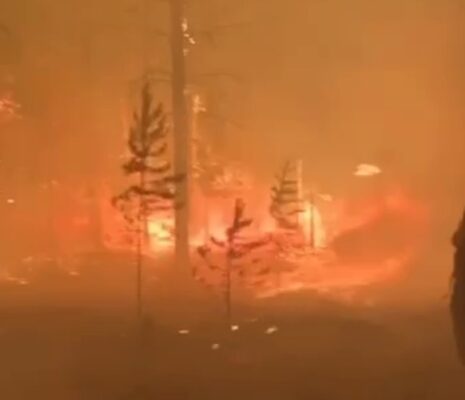 В Якутии – 98 пожаров в 13 районах. Общая площадь возгорания 125,6 тысячи гектаров