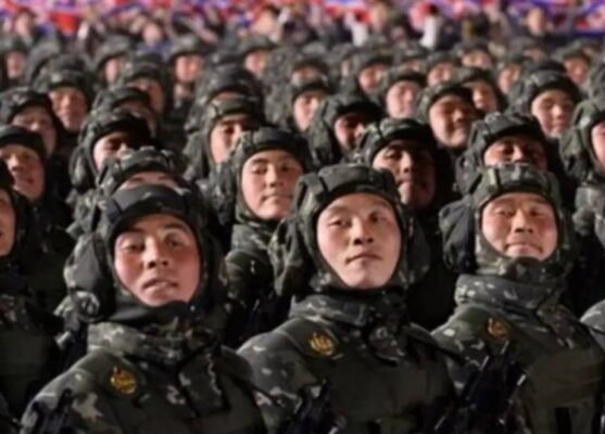 Пхеньян сам предложил помощь в боях под Курском