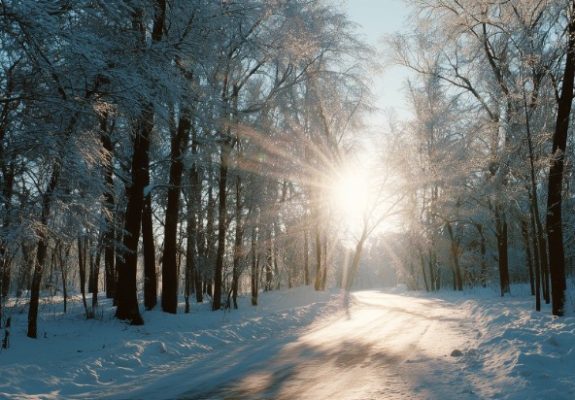«Орешник» заступил на боевое дежурство в Белоруссии